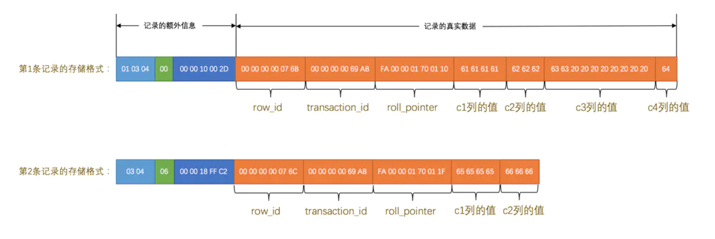 mysql8